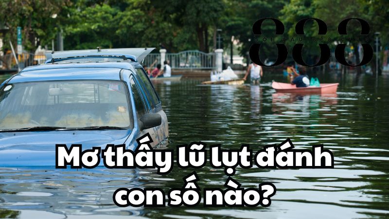 Mơ thấy lũ lụt đánh con số nào?