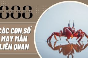 Khi bạn mơ thấy cua sẽ mang đến những con số may mắn nào?