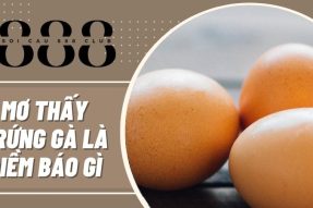 Giải mã giấc mơ thấy trứng gà mang đến điềm báo tốt hay xấu