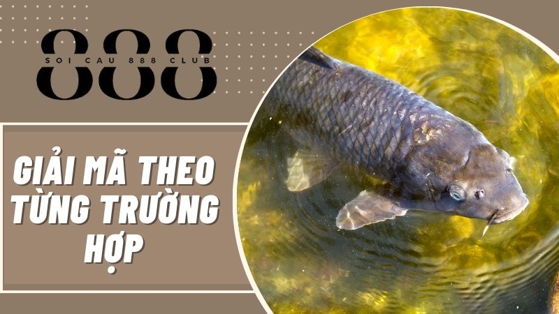 Giải mã cụ thể theo từng trường hợp