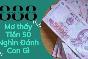 Giải mã giấc mơ thấy tiền 50 nghìn mang đến điềm báo gì?