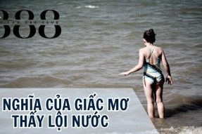 Khám phá giấc mơ thấy lội nước mang đến điềm báo may mắn gì