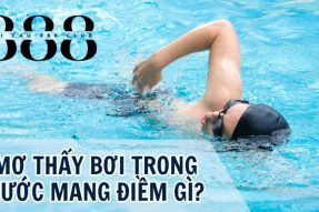 Giải mã giấc mơ thấy bơi trong nước nên đánh con gì may mắn