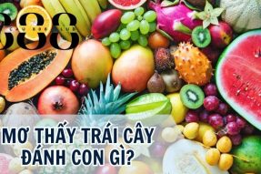 Giải mã giấc mơ thấy trái cây nên đánh con số gì chính xác