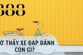 Khám phá giấc mơ thấy xe đạp mang đến những điềm báo gì?