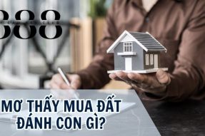 Cùng giải mã mơ thấy mua đất nên đánh con số gì may mắn nhất