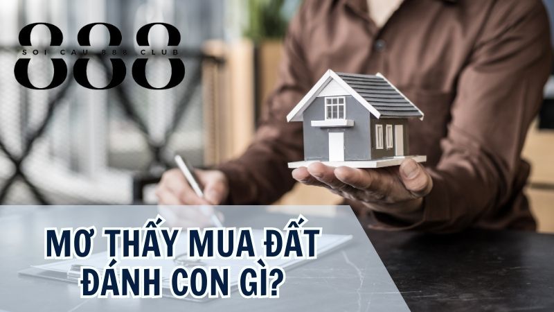 Con số may mắn liên quan đến giấc mơ mua đất