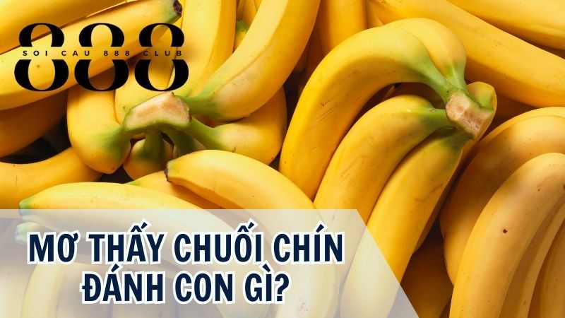 MƠ THẤY CHUỐI CHÍN ĐÁNH SỐ GÌ