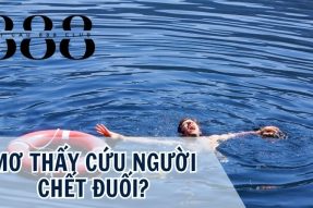 Cùng khám phá giấc mơ thấy cứu người chết đuối đánh con gì