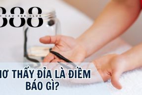 Giải mã giấc mơ thấy đỉa mang đến điềm báo gì cho tương lai