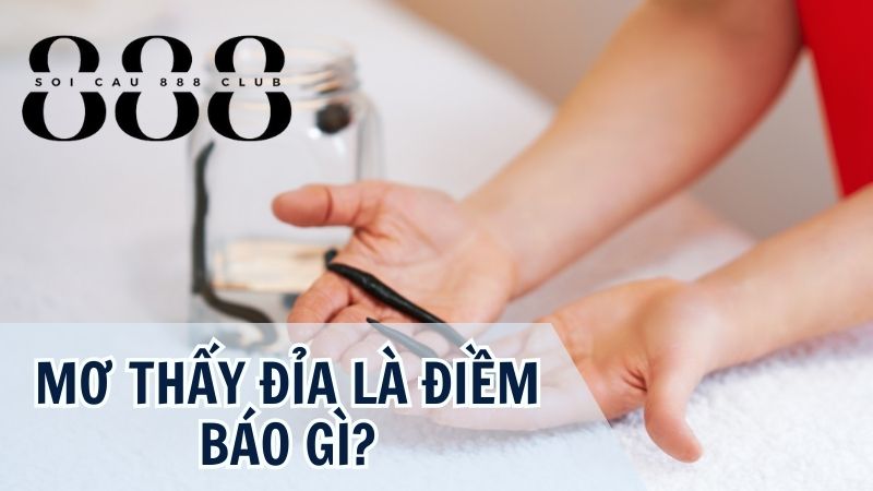 Liệu mơ thấy đỉa có phải là điềm tốt hay xấu? 