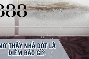 Mơ thấy nhà dột nên đánh con số gì may mắn chính xác nhất