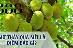 Giải mã giấc mơ thấy quả mít đánh con gì may mắn chính xác