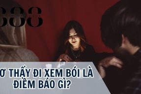 Mơ thấy đi xem bói nên đánh con gì – Mang đến điềm báo gì