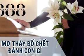 Mơ thấy bố chết liệu sẽ mang đến điềm báo xấu hay không?