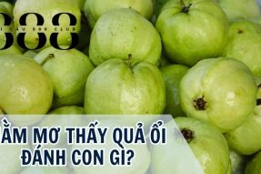 Nằm mơ thấy quả ổi sẽ mang đến điềm báo gì cho tương lai