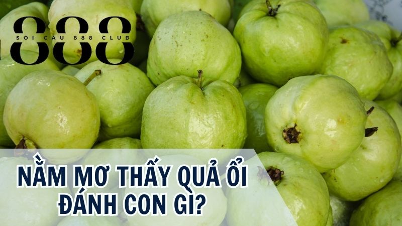 Nằm mơ thấy quả ổi đánh con gì?