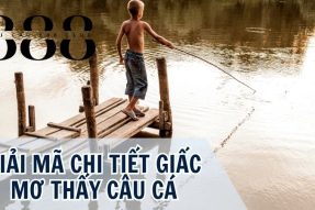 Giải mã giấc mơ thấy câu cá mang đến dấu hiệu tốt hay xấu