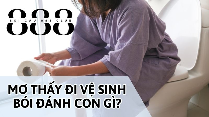 Nằm Mơ Thấy Đi Vệ Sinh Đánh Số Mấy?