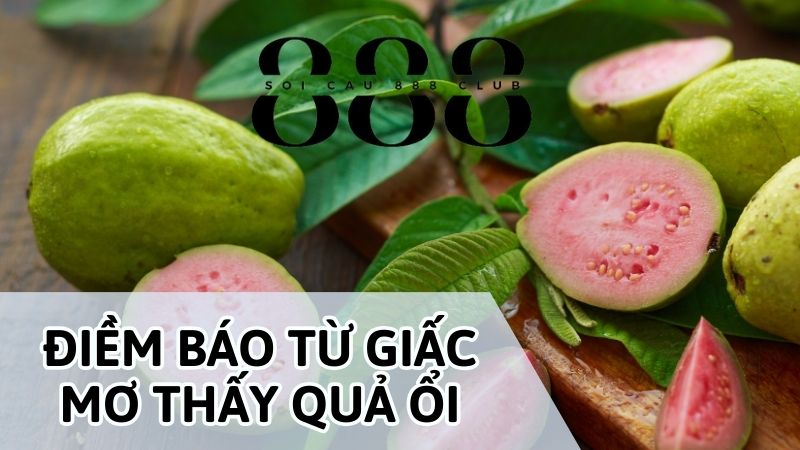 Dấu hiệu từ những giấc mơ thấy quả ổi