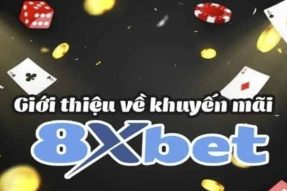 Những Chương Trình Khuyến Mãi Hấp Dẫn Từ 8XBet