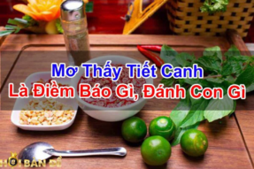 Nằm mơ ăn tiết canh là điềm báo gì và con số may mắn?