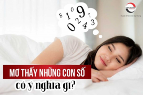 Mơ số 7 trong giấc mơ – Những con số được gợi ý