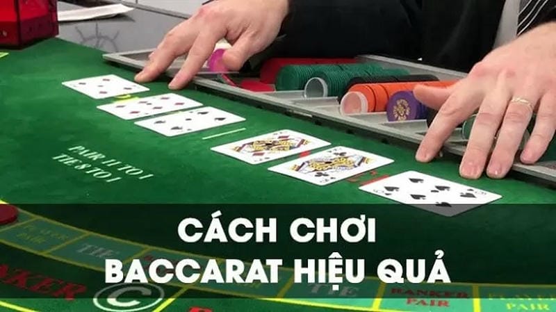 Chiến thuật cược hiệu quả từ cao thủ